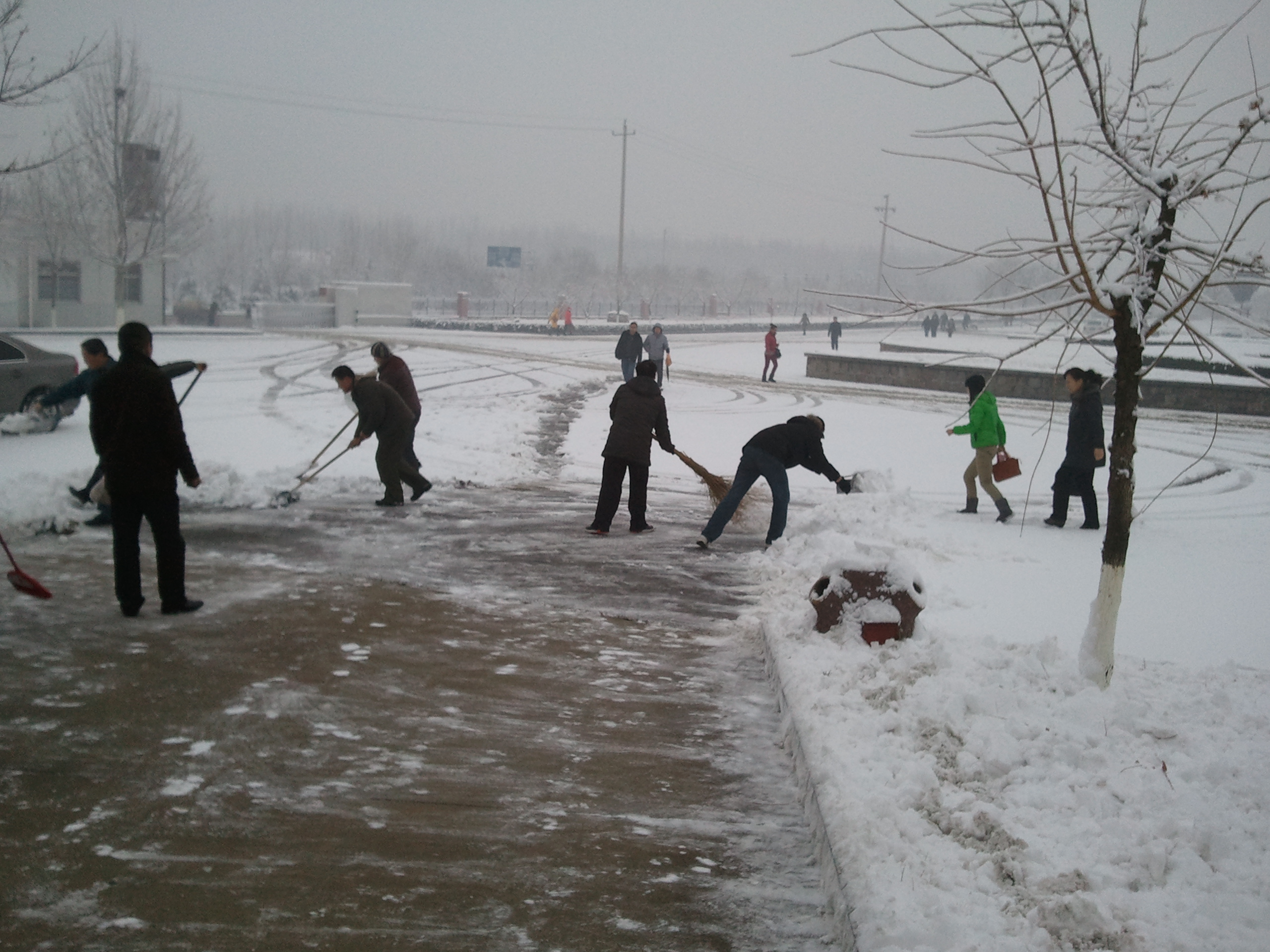 公司員工主動清掃積雪